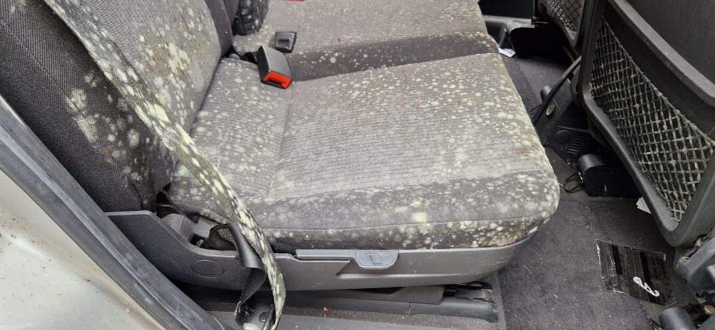 Schimmel Entfernung vorher