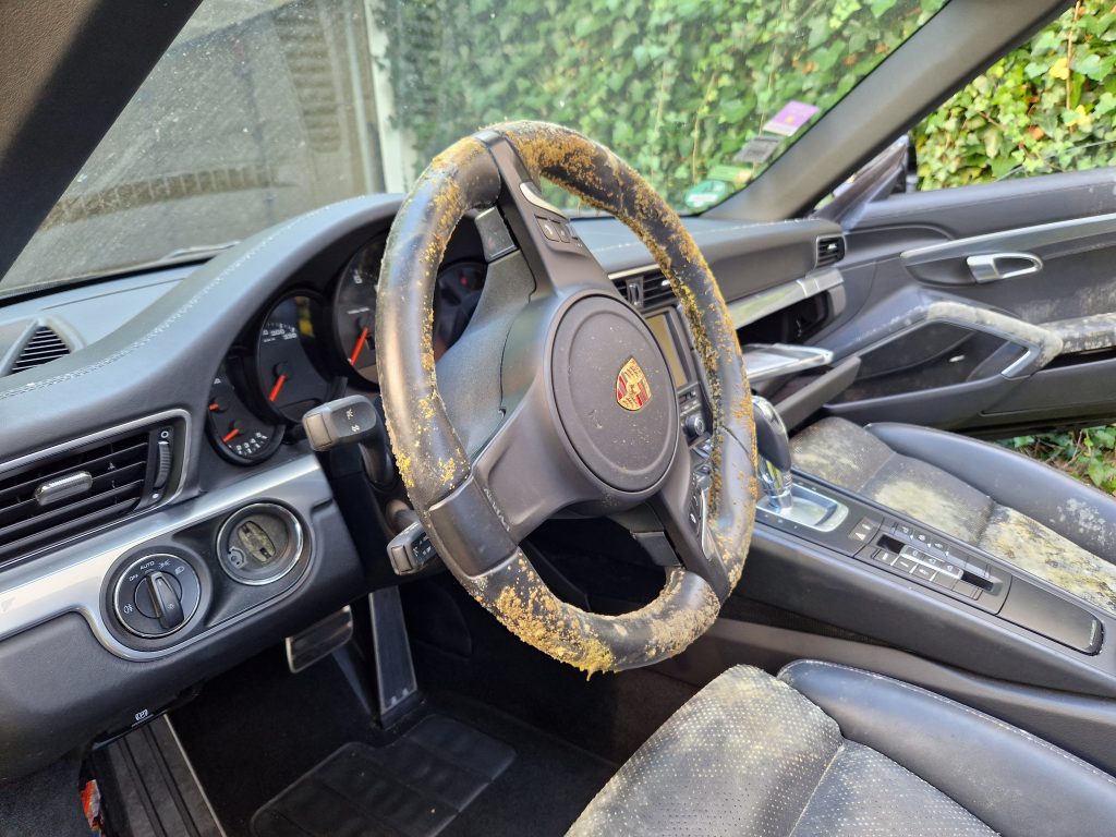 Porsche Schimmel vorher